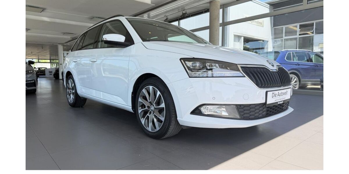 Skoda Fabia 99.995 km 14.980 &euro; Rheinfelden (Baden) (Rheinfelden) 79618
