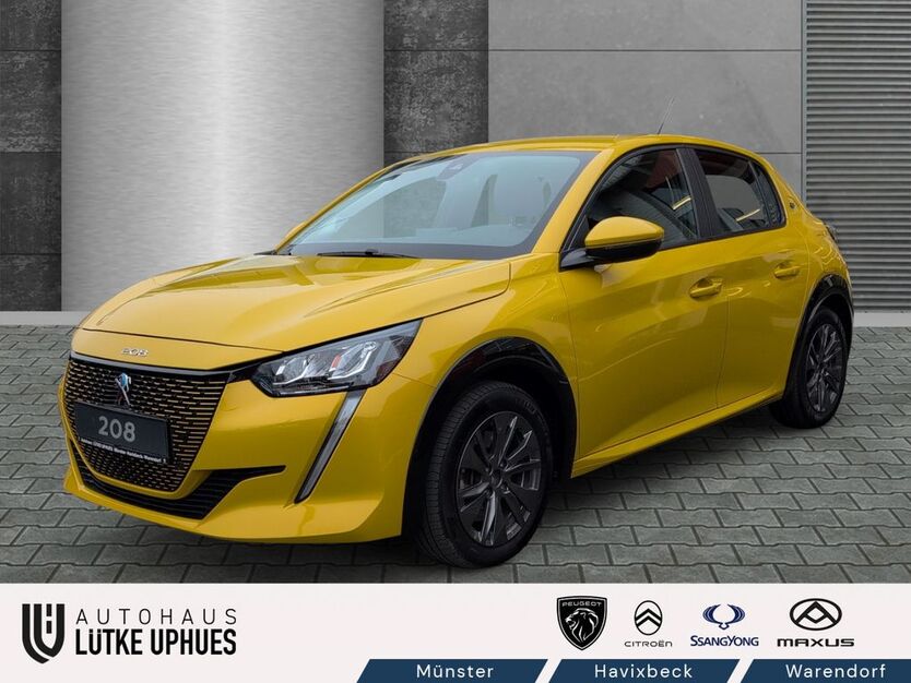 Peugeot 208 49.000 km 13.900 € Münster 48155