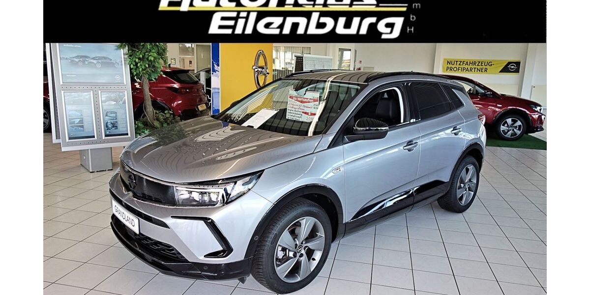 Opel Grandland (X) 11.500 km 25.690 &euro; Eilenburg 04838