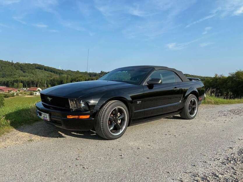 Mustang