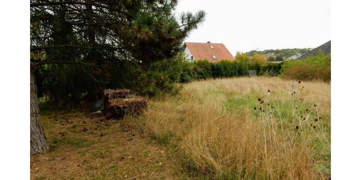 Grundstück Ellrich - 58.000&euro; | Angebot:25777860