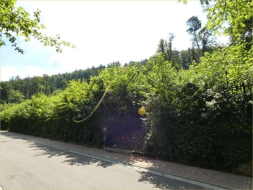 Grundstück zu verkaufen in Rodalben 2193.5 m²