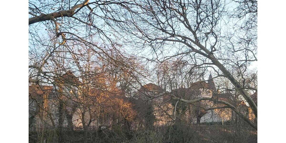 Ferienimmobilie Mühlhausen (Thüringen) - 55&euro; | Angebot:25645727