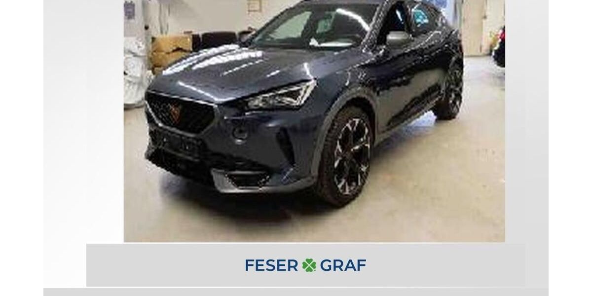 Cupra Formentor 25.150 km 28.250 &euro; Höchstadt an der Aisch 91315