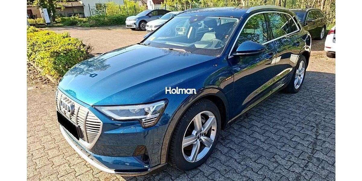 Audi e-tron 138.382 km 21.941 &euro; Eschborn 65760