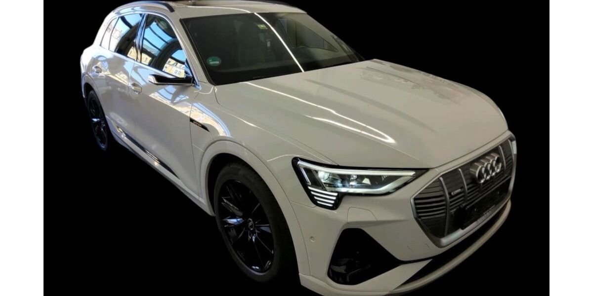Audi e-tron 41.000 km 35.600 &euro; Fintel 27389