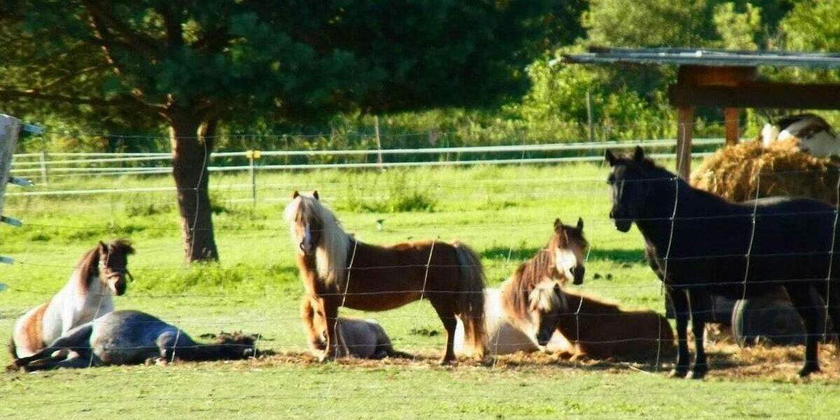 Bauernhaus, Landhaus Kleinzerlang Kleinzerlang - 1 Zimmer, 389 m&sup2;, 860.000&euro; | Angebot:25803133