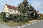 Mehrfamilienhaus, Wohnhaus Oschatz - 12 Zimmer, 291 m&sup2;, 130.000&euro; | Angebot:26150375
