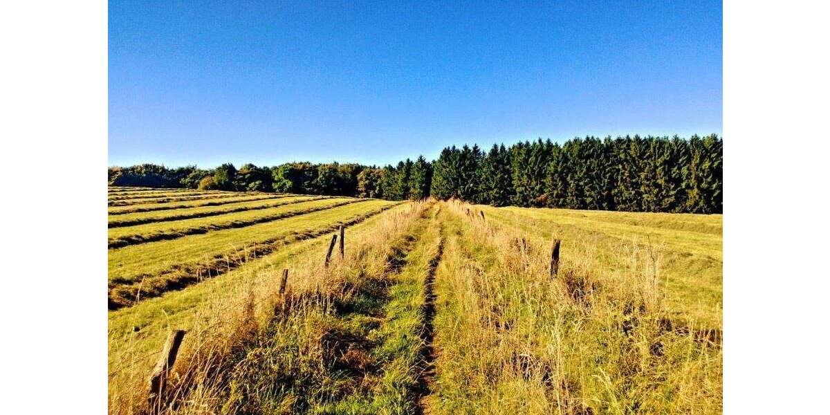 Grundstück Lüdenscheid Othlinghausen - 1.390.000&euro; | Angebot:24973843