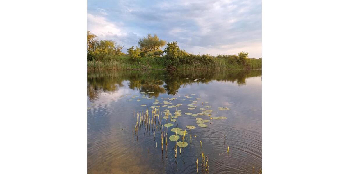 Bungalow Schönebeck (Elbe) Pretzien - 3 Zimmer, 35 m&sup2;, 35.000&euro; | Angebot:26356192