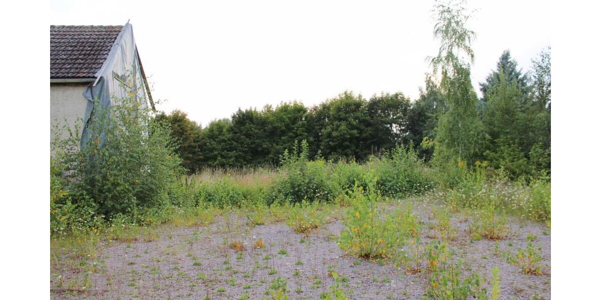 Starbach - Freiraum für Ihre Familie - Grundstück Nossen Starbach | Angebot:26250467