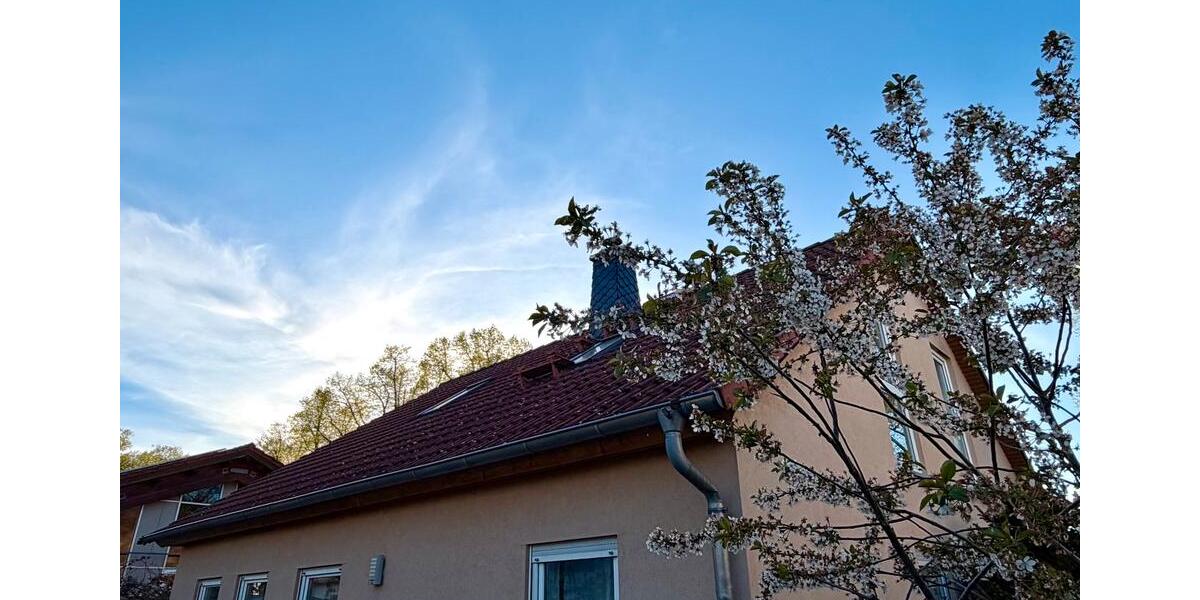 Einfamilienhaus Schönefeld - 5 Zimmer, 133 m&sup2;, 598.000&euro; | Angebot:26396797