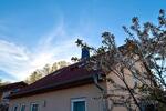 Einfamilienhaus Schönefeld - 5 Zimmer, 133 m&sup2;, 598.000&euro; | Angebot:26396797
