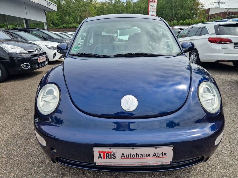 Beetle