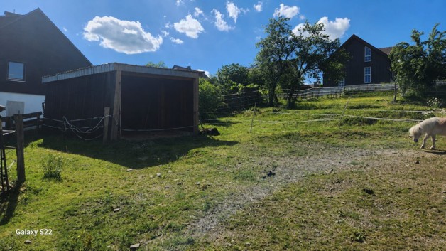 Bauernhof mit Stallungen und Ponys - Einfamilienhaus Bad Berleburg | Angebot:26996073