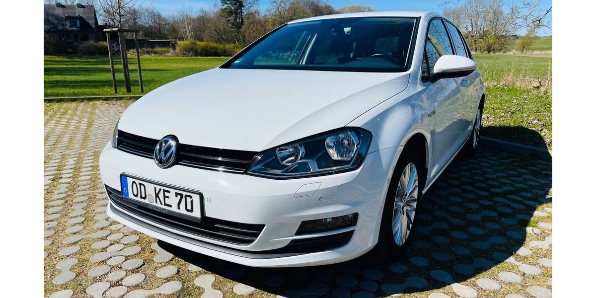 VW Golf 133.500 km 8.600 &euro; Bad Oldesloe 23843
