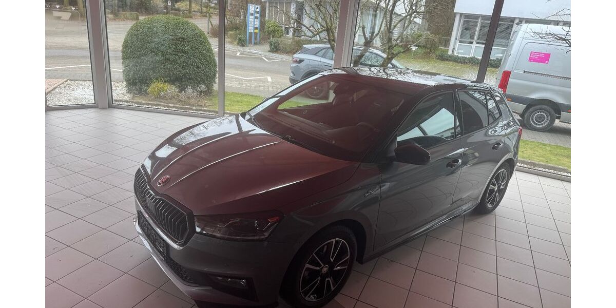 Skoda Fabia 1.500 km 21.490 &euro; Weinheim 69469