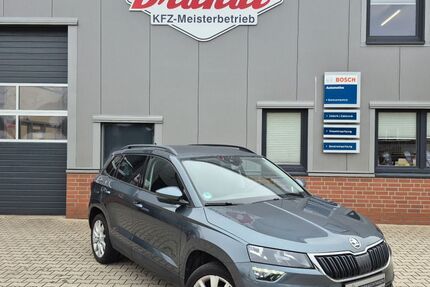 Skoda Karoq 113.900 km 17.990 &euro; Walsrode 29699