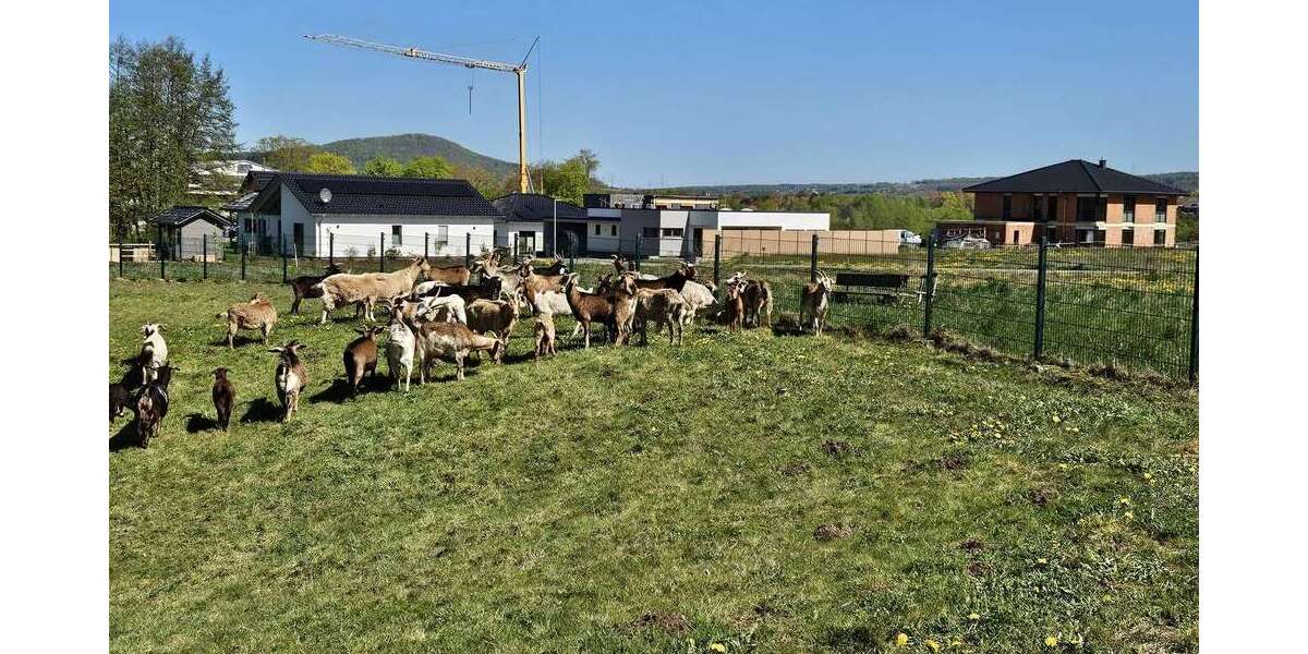 Grundstück Hofgeismar - 126.750&euro; | Angebot:26689860