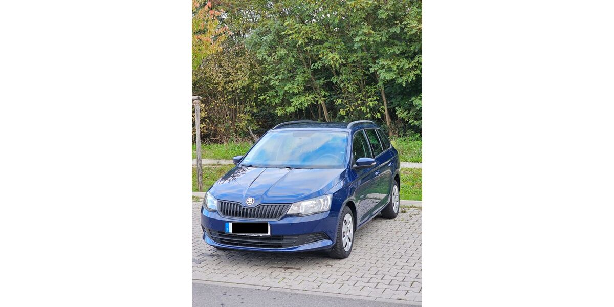Skoda Fabia 59.000 km 8.600 &euro; Speyer 67346