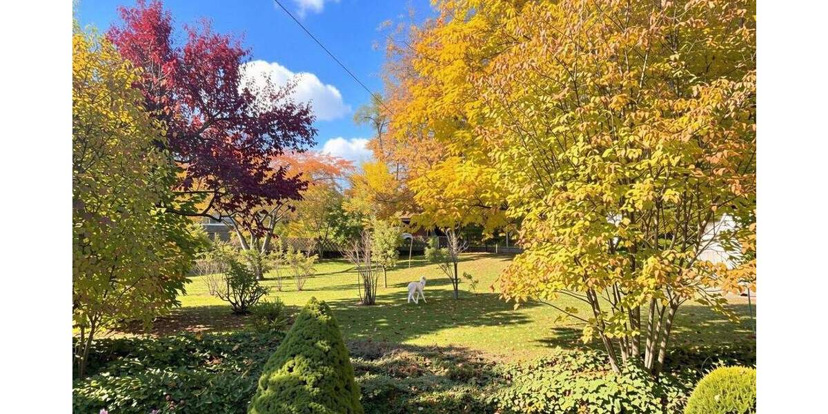 Gewerbeobjekt Balingen Zillhausen - 249.000&euro; | Angebot:25742376