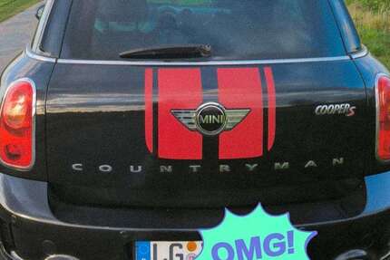 Mini John Cooper Works Countryman 141.000 km 13.500 € Lüneburg 21337