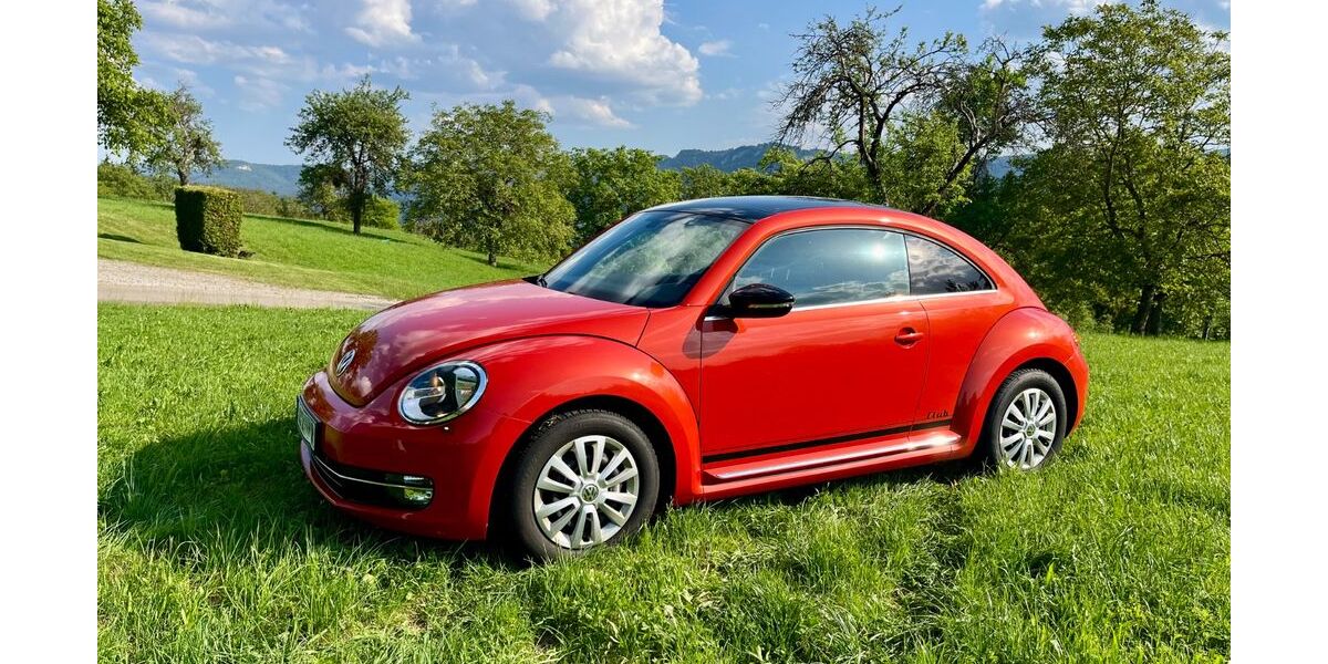 VW Beetle 144.000 km 10.800 &euro; Geislingen 72351