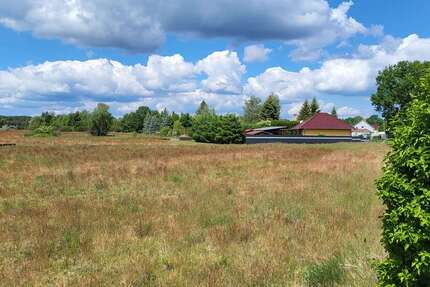 Grundstück zu verkaufen in Bersteland OT Freiwalde 69.990 € 763 m² zimmer