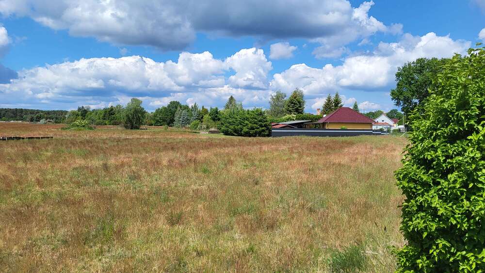 Grundstück zu verkaufen in Bersteland OT Freiwalde 69.990 € 763 m² zimmer