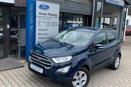 Ford EcoSport 46.790 km 13.980 € Zwönitz 08297