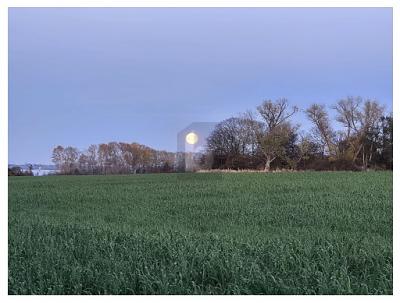 ERSCHLOSSEN & BEREIT: IHR BAUPROJEKT IN RUHIGER LAGE - Grundstück Zierow | Angebot:26308990