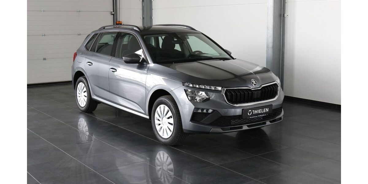 Skoda Kamiq 20.000 km 20.999 &euro; Bitburg 54634