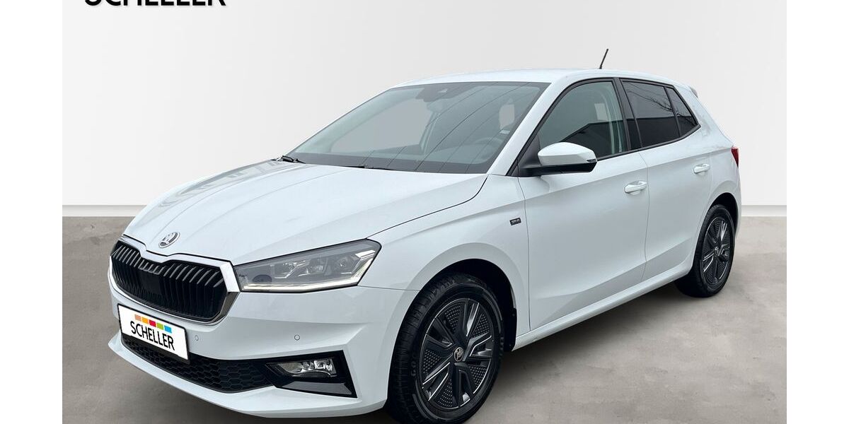 Skoda Fabia 8.717 km 19.900 &euro; Fulda 36043