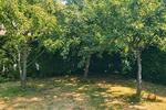 Einfamilienhaus Pinneberg - 4 Zimmer, 120 m&sup2;, 395.000&euro; | Angebot:26693725