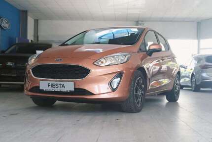 Ford Fiesta 103.000 km 9.900 &euro; Weißenfels 06667