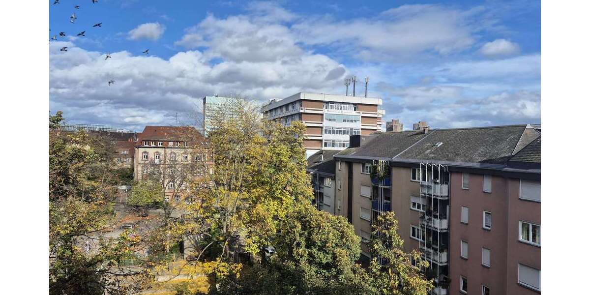 Zimmer Mannheim - 1 Zimmer, 595&euro; | Angebot:26459124