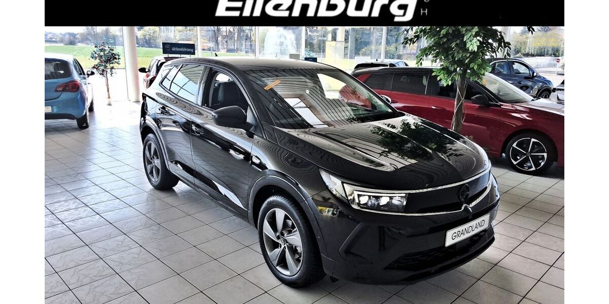 Opel Grandland (X) 16.200 km 25.980 &euro; Eilenburg 04838