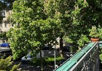 Wohnen im Denkmal Detmold Innenstadt!
