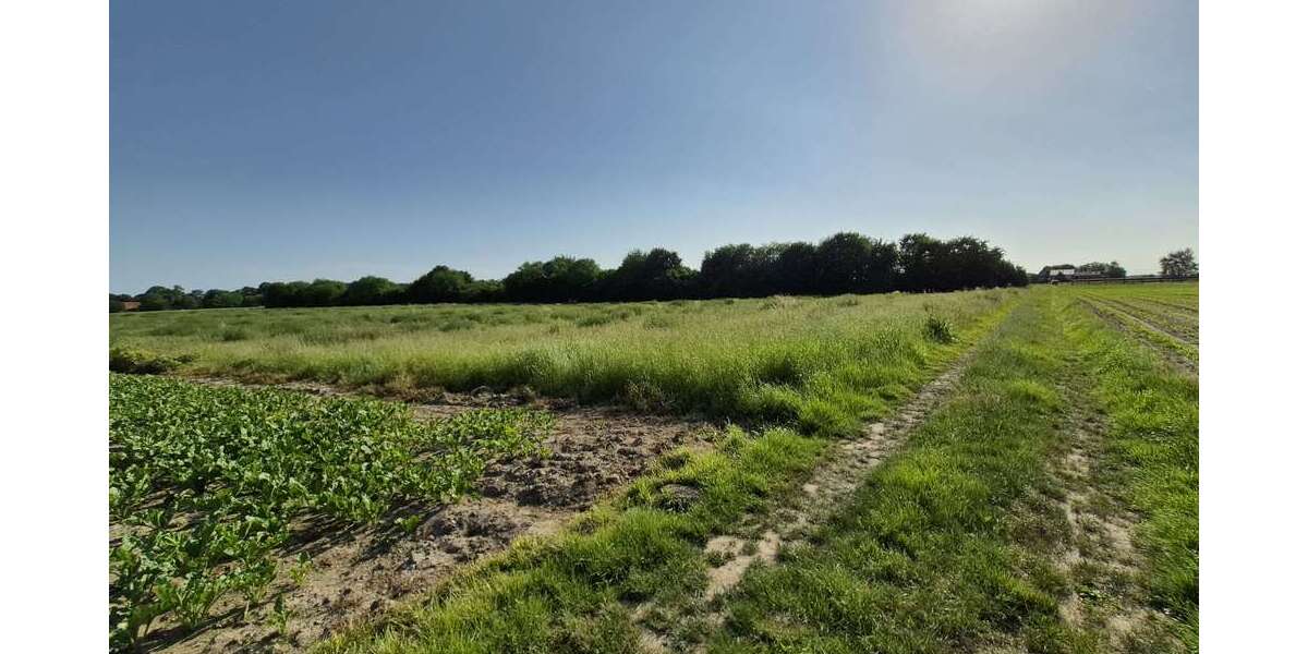 Grundstück Mönchengladbach Wickrath-Mitte - 298.000&euro; | Angebot:26819280