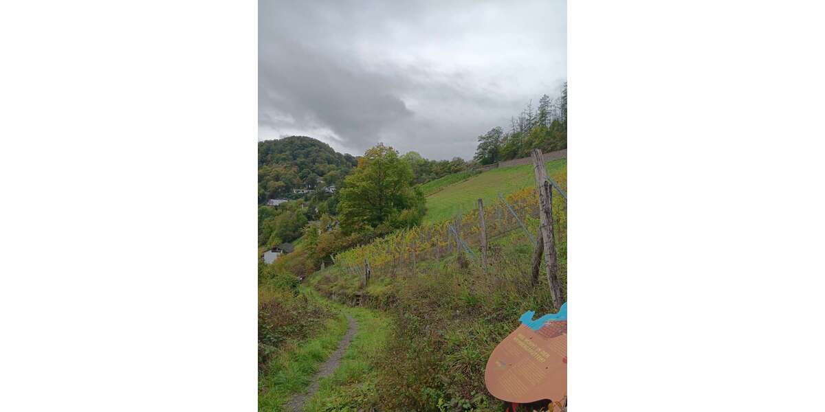 Grundstück Obernhof - 15.000&euro; | Angebot:26939247