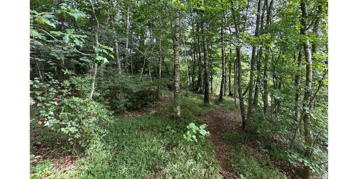 Grundstück Großenkneten Hosüne - 159.000&euro; | Angebot:22148214