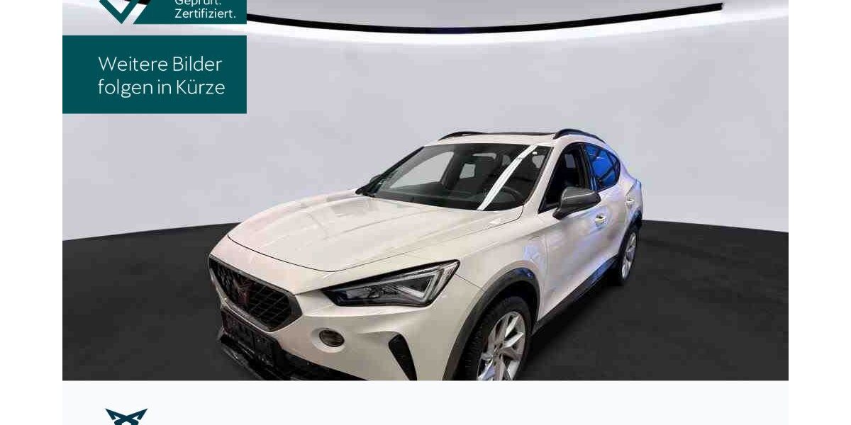 Cupra Formentor 16.882 km 23.430 &euro; Hofheim-Diedenbergen 65719