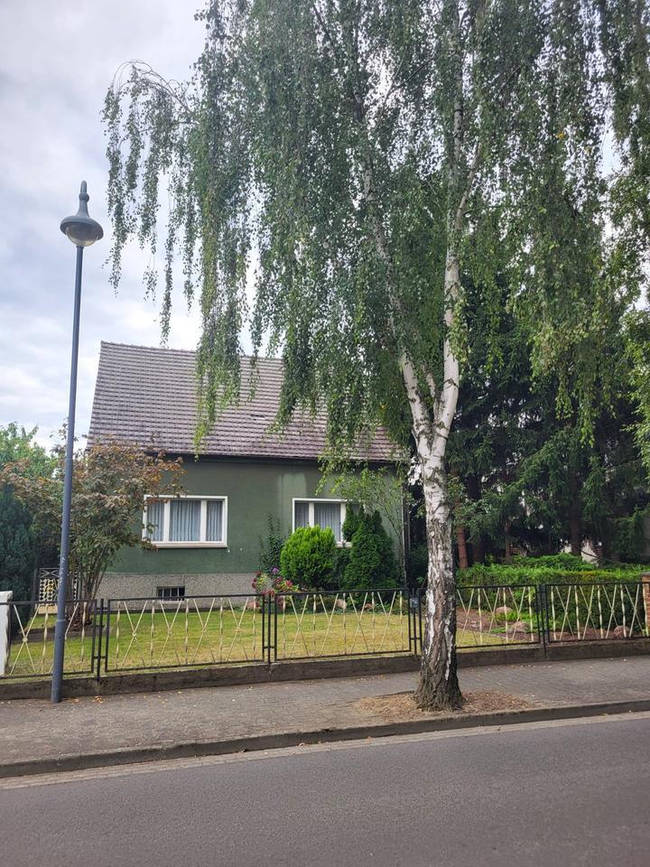 Gepflegtes Grundstück mit Haus in top Lage in Calau zimmer