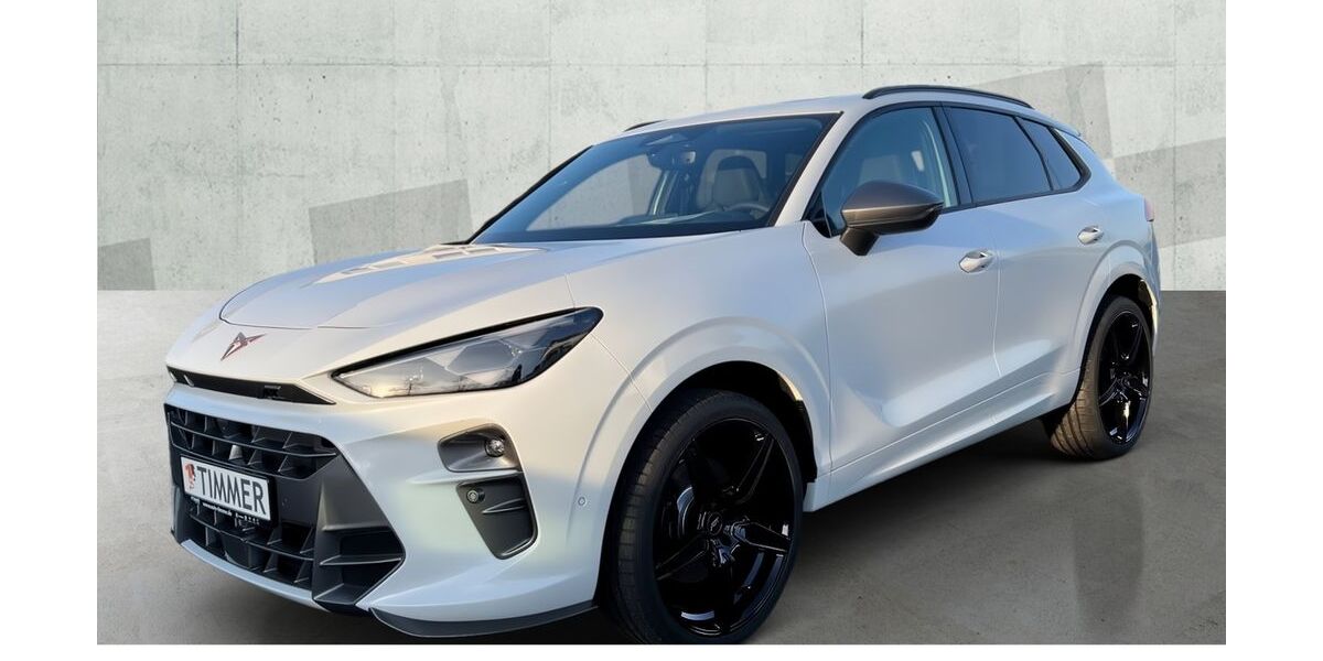 Cupra Terramar 1.999 km 52.590 &euro; Nordhorn 48529