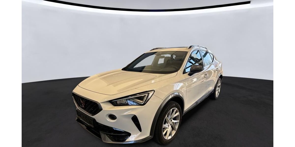 Cupra Formentor 125.250 km 24.990 &euro; Braunschweig 38122