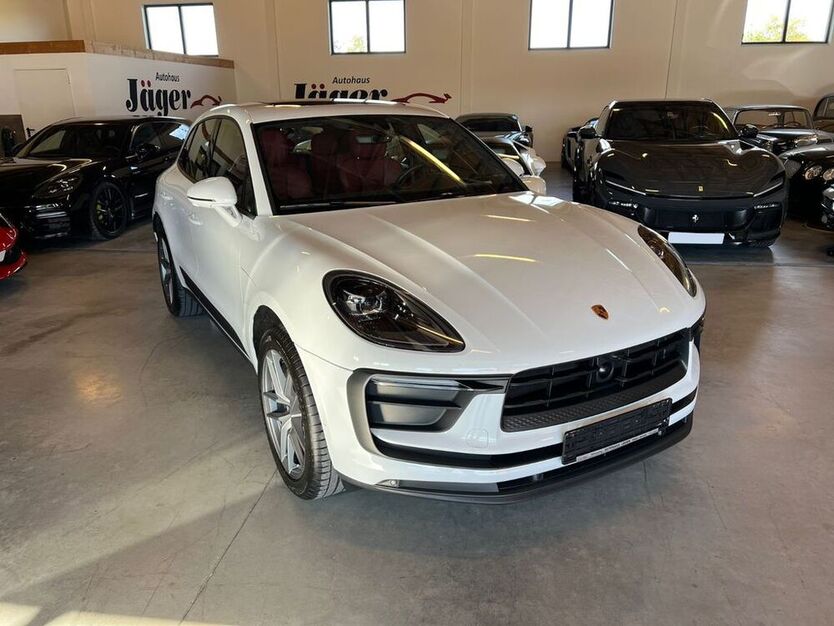 Macan