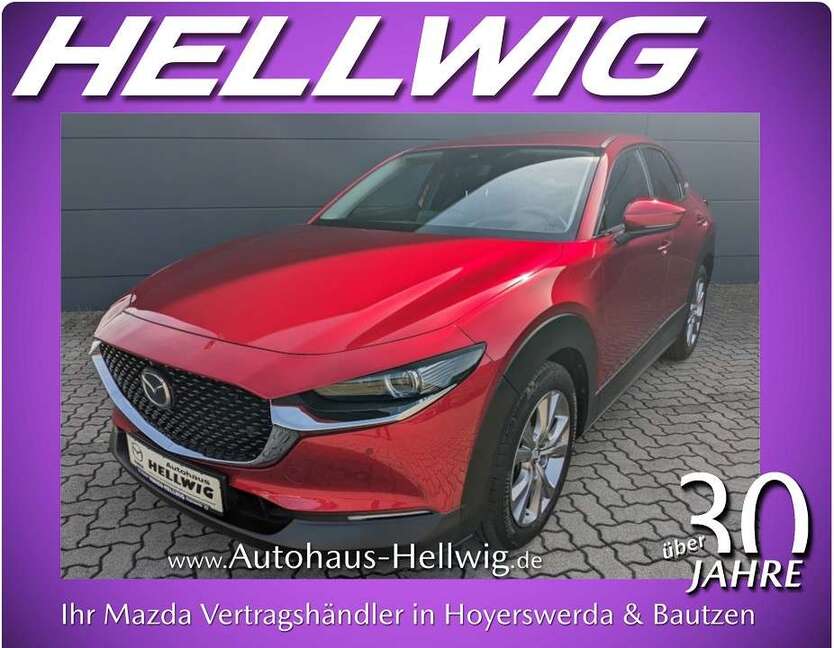 CX-30