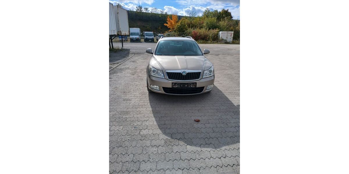Skoda Octavia 179.600 km 8.600 € Erlangen 91058