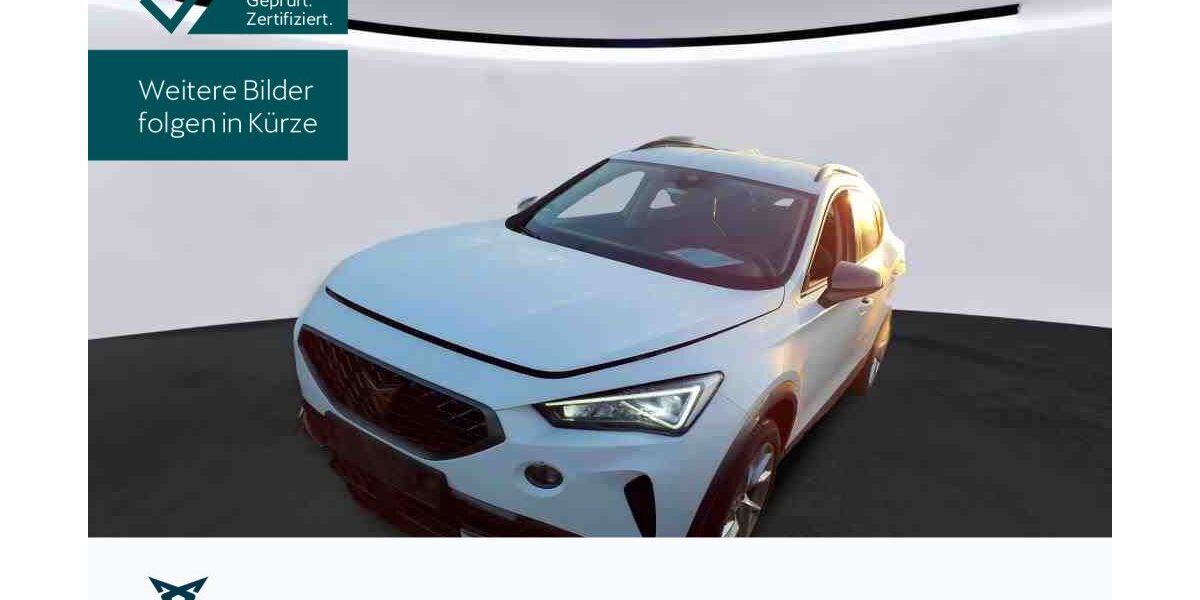 Cupra Formentor 43.030 km 23.740 &euro; Hofheim-Diedenbergen 65719