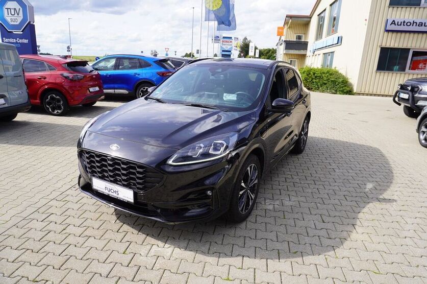 Kuga